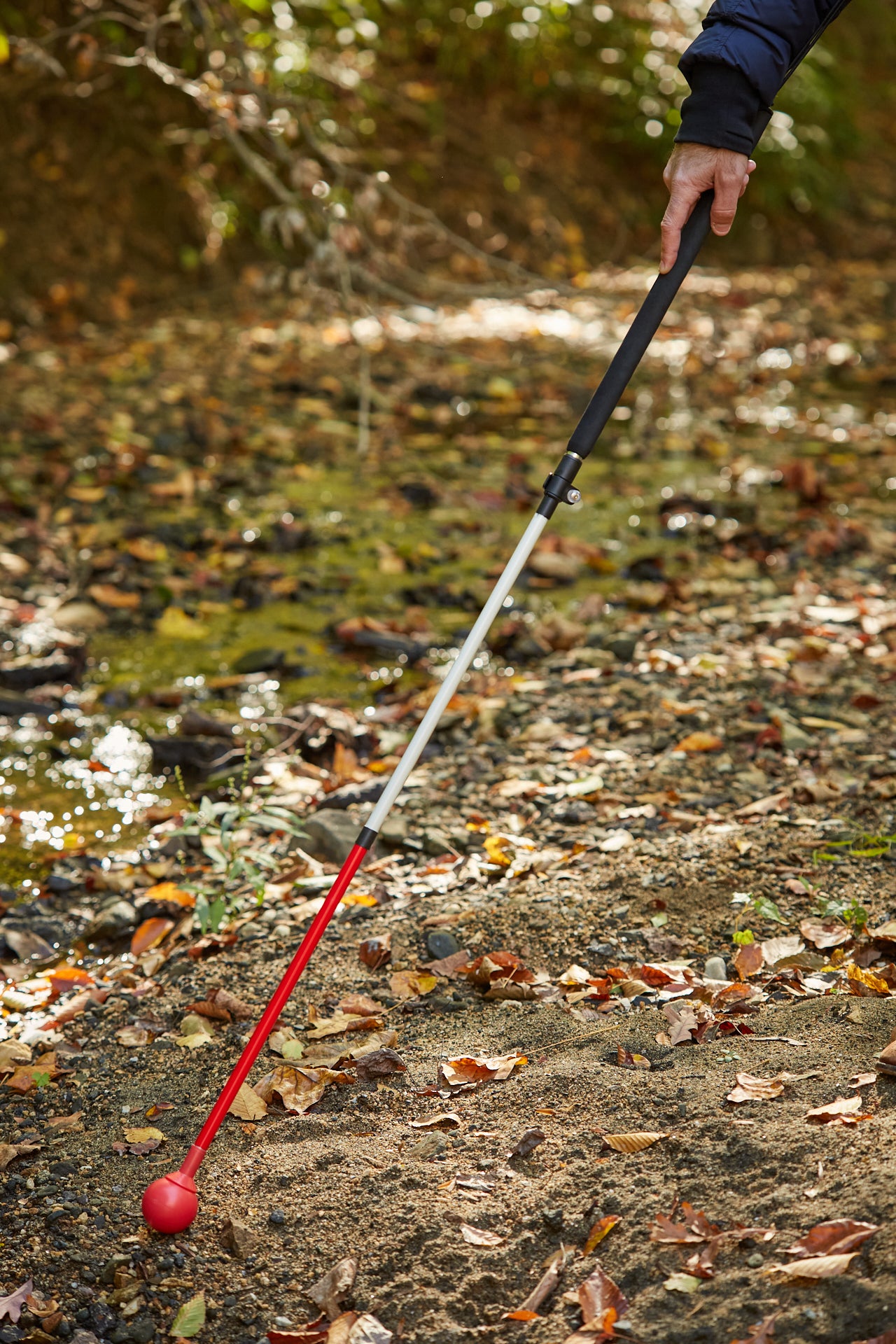 Image of the Awarewolf Gear All Terrain Cane in a forest setting.